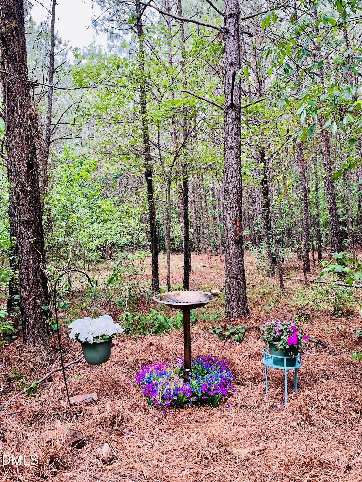 0 South Plank Road, Unit TRACK 2 Sanford, NC 27330 - Photo 8 of 39 a view of a garden with a bench and some trees