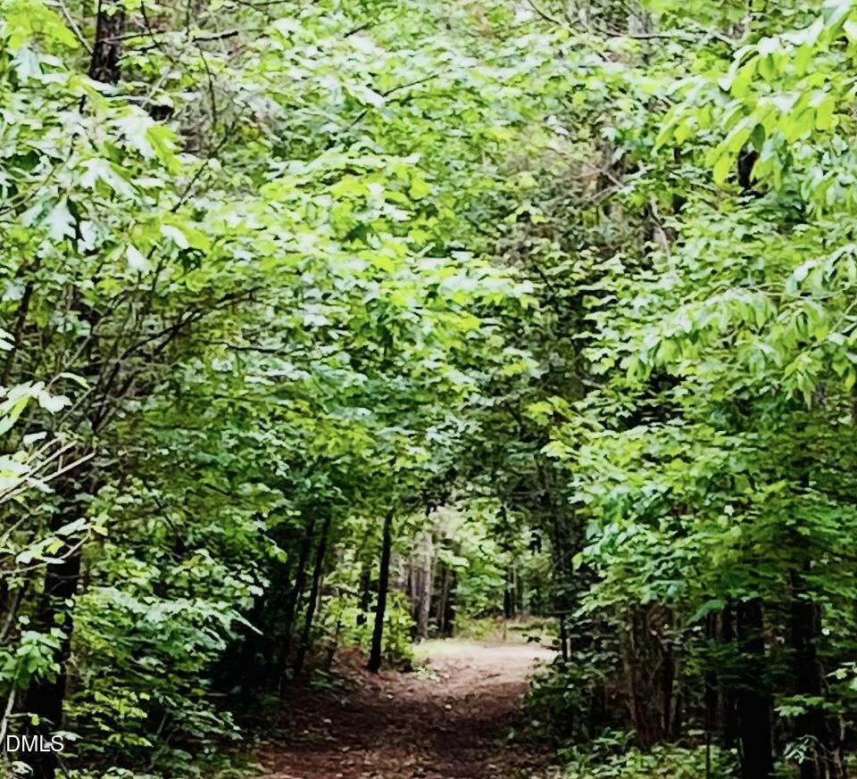 0 South Plank Road, Unit TRACK 2 Sanford, NC 27330 - Photo 9 of 39 a view of a lush green forest