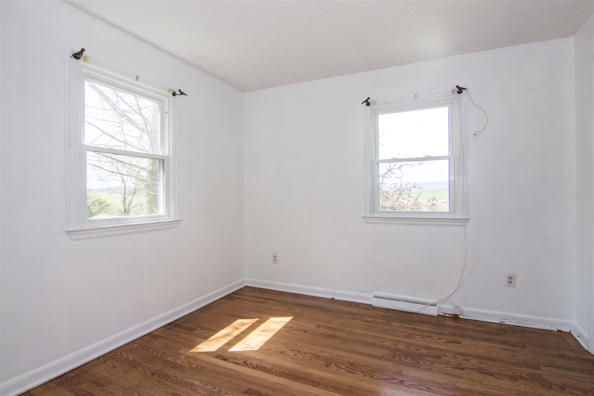 9648 Daphna Road Broadway, VA 22815 - Photo 17 of 32 Gallery Image 17