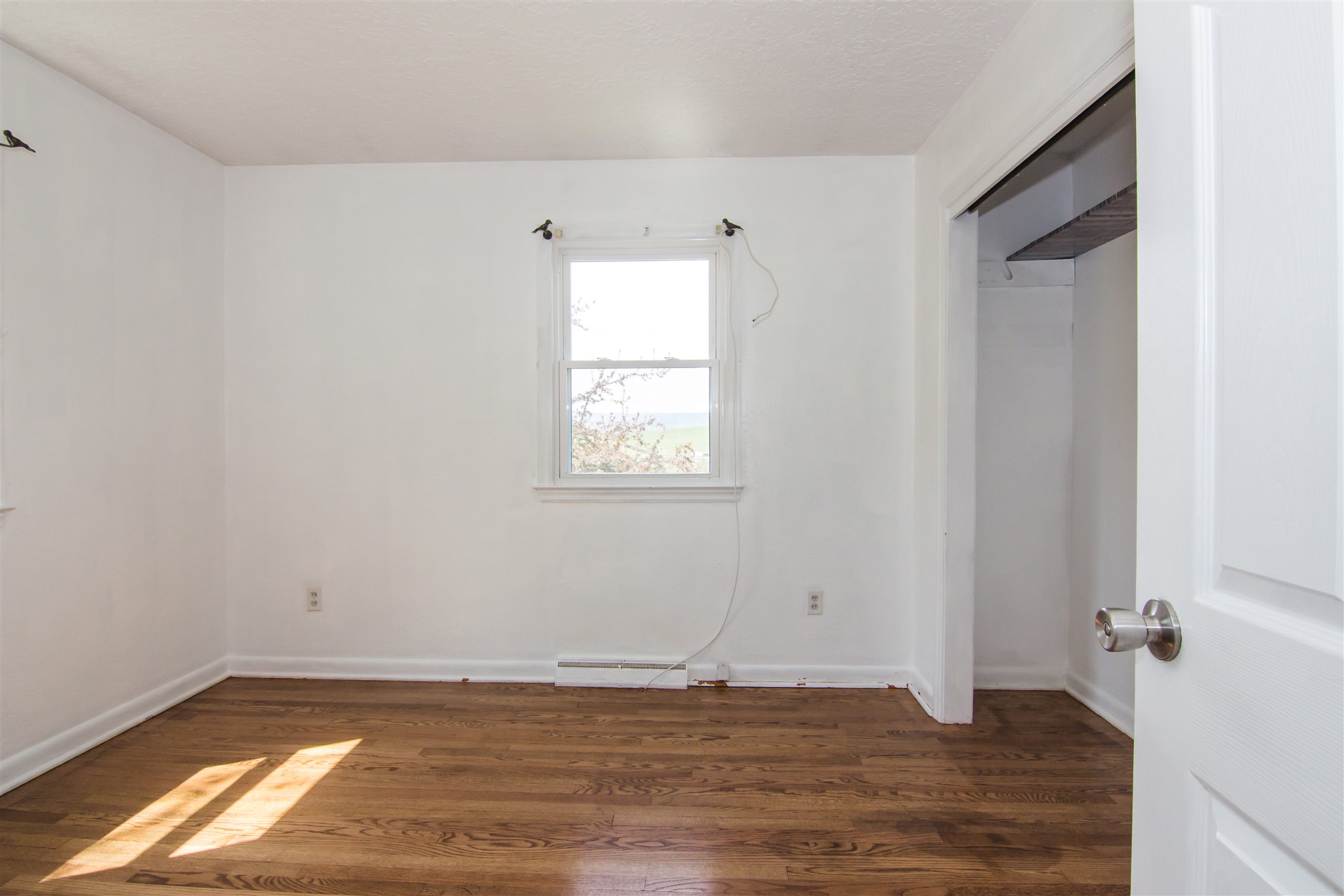 9648 Daphna Road Broadway, VA 22815 - Photo 18 of 32 Gallery Image 18