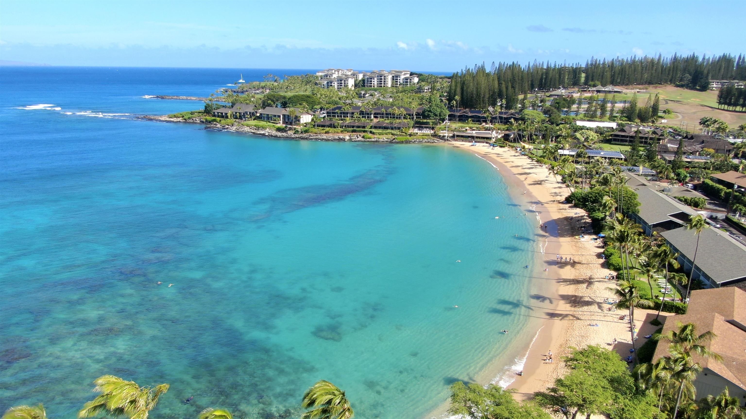 5315 Lower Honoapiilani Road, Unit D232 Lahaina, HI 96761 - Photo 18 of 31 a view of a lake with houses