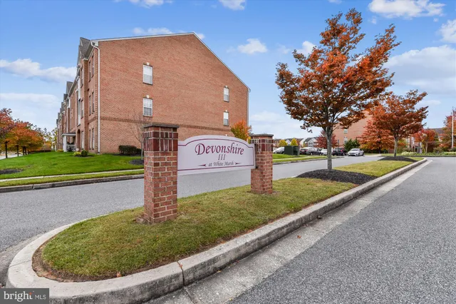 a view of road with card