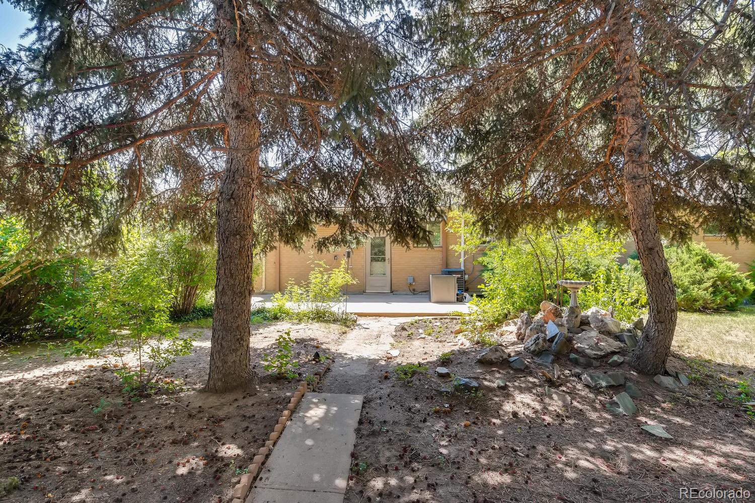 6644 South Race Circle East Centennial, CO 80121 - Photo 19 of 20 a view of a yard with plants and a large tree