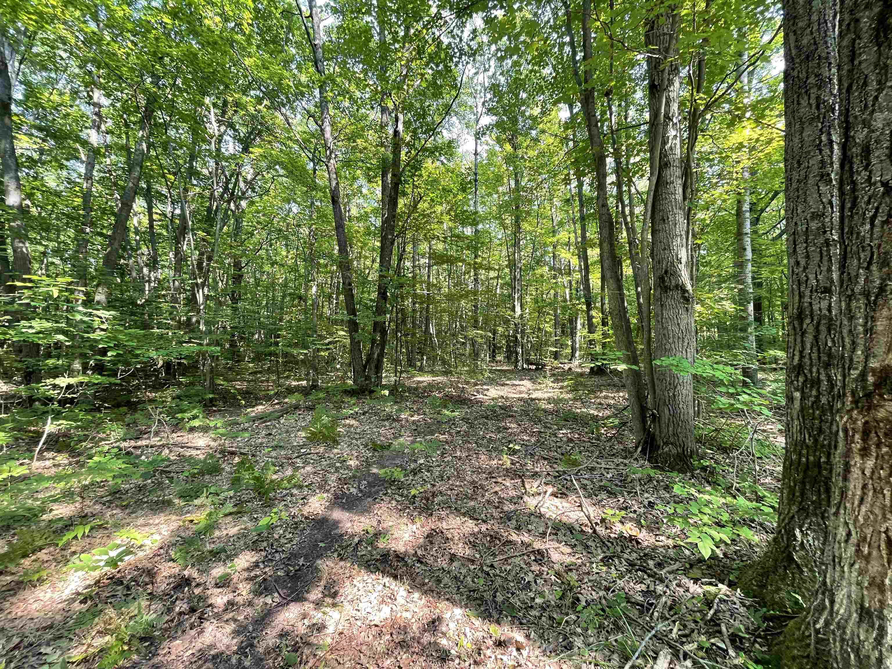 5624 Sayers Road Black River, MI 48721 - Photo 10 of 13 Gallery Image 10