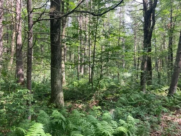 $200,000 | 0 North Street, Jefferson, MA 01522