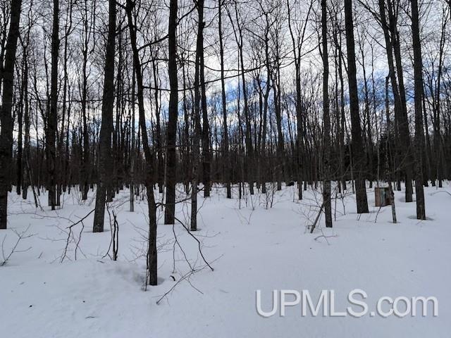 53554 North Superior Road Houghton, MI 49931 - Photo 29 of 41