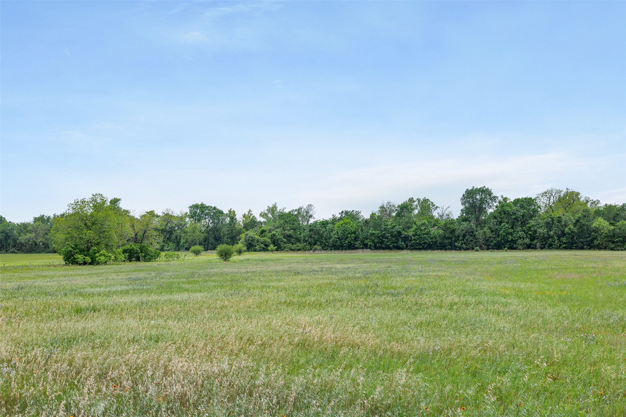 Tbd Bauer Rummel Road Round Top, TX 78954 - Photo 10 of 30