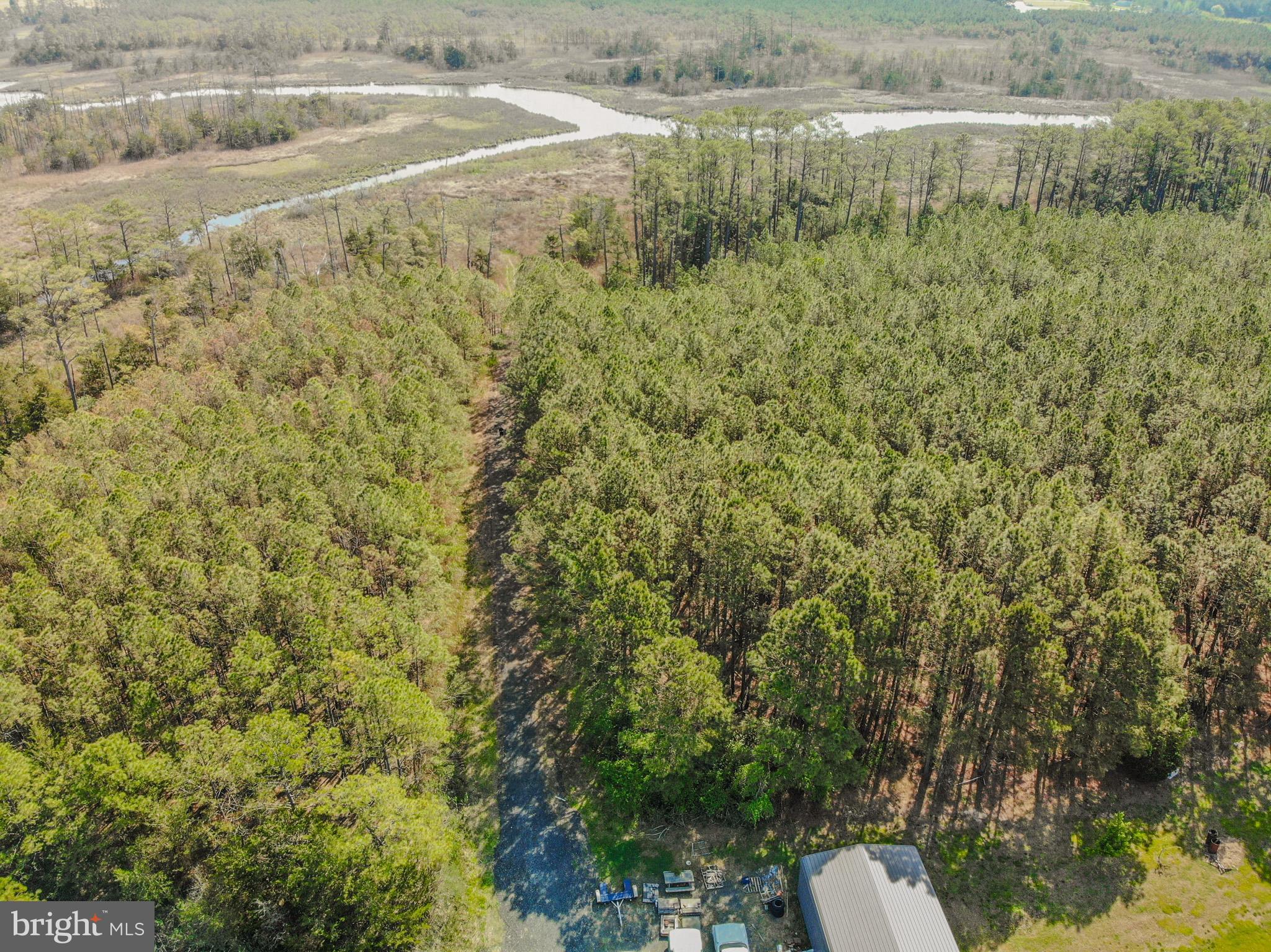 26835 Roland Tyler Road Crisfield, MD 21817 - Photo 33 of 47