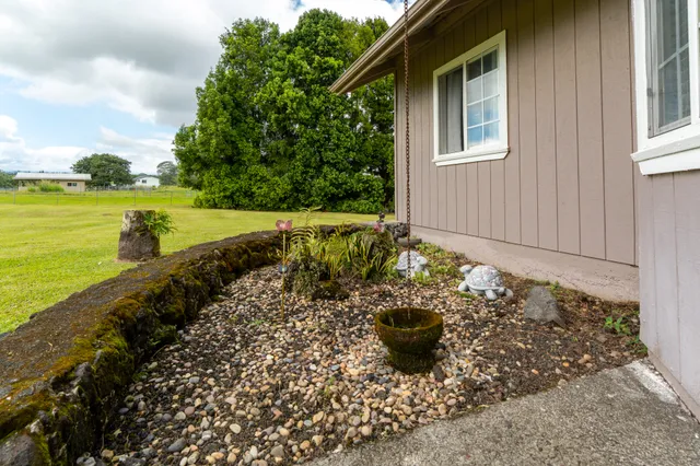 a view of a backyard with plants and a lake view