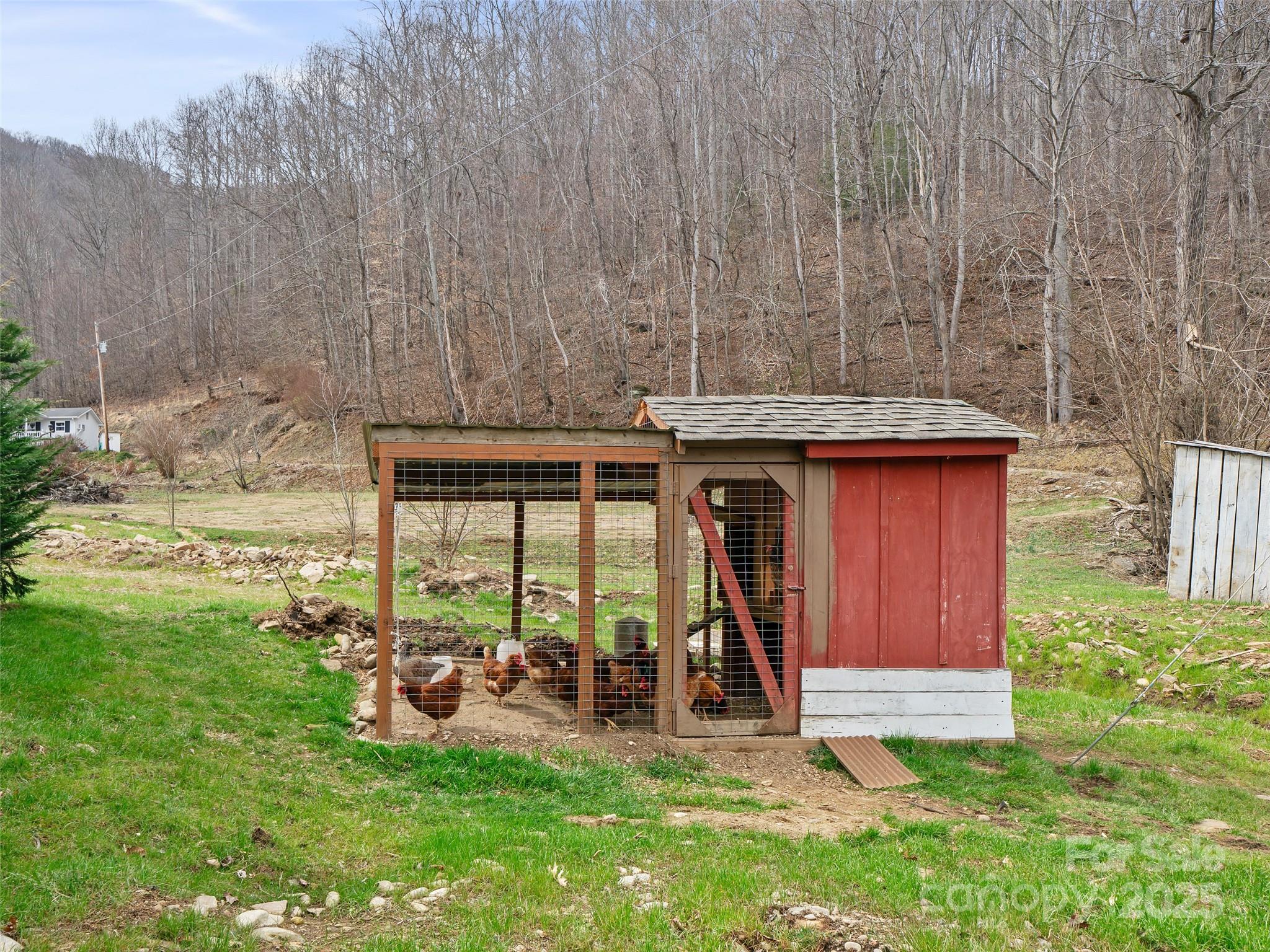 784 Riverview Road Burnsville, NC 28714 - Photo 33 of 38