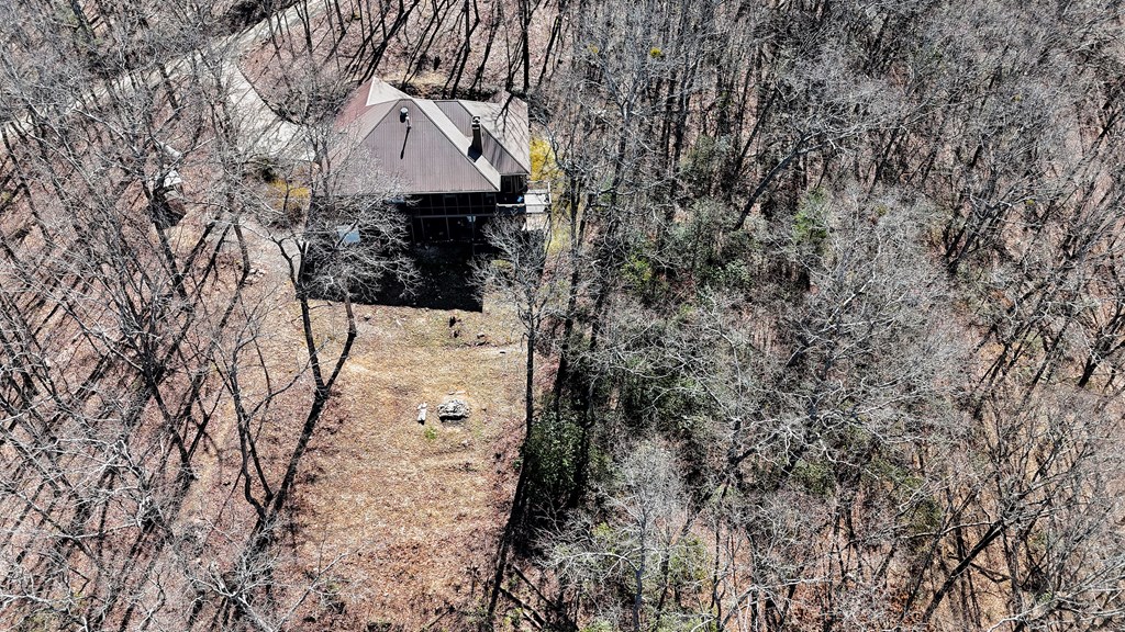 790 Old Burnt Mountain Road Ellijay, GA 30536 - Photo 13 of 91