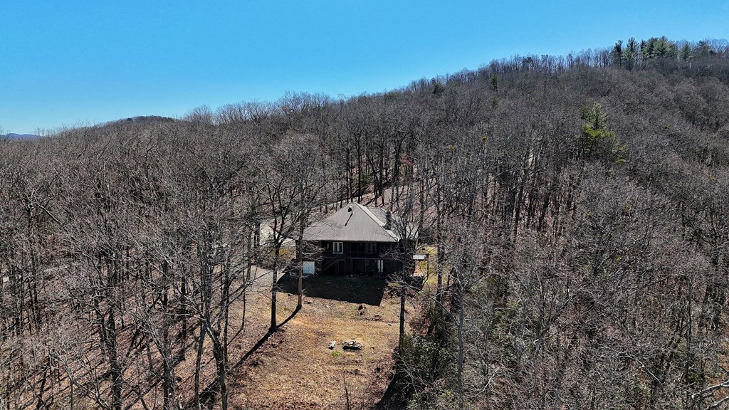 790 Old Burnt Mountain Road Ellijay, GA 30536 - Photo 17 of 91