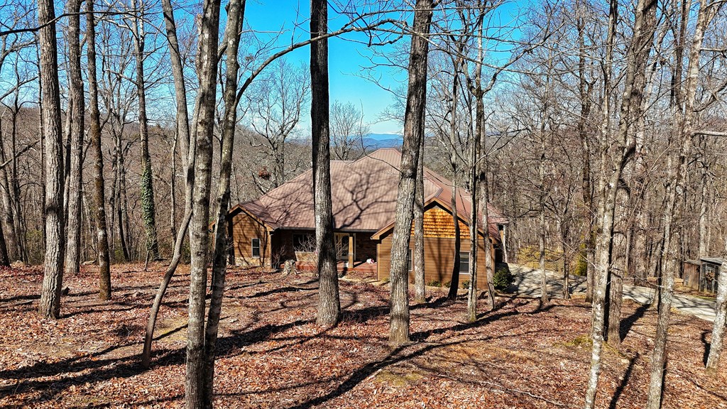 790 Old Burnt Mountain Road Ellijay, GA 30536 - Photo 21 of 91