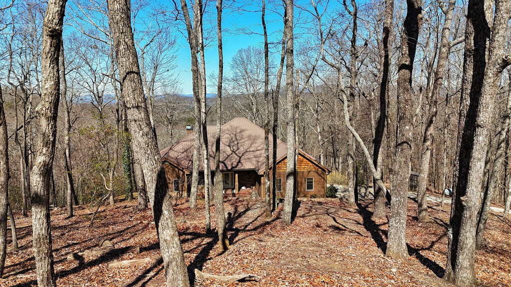 790 Old Burnt Mountain Road Ellijay, GA 30536 - Photo 22 of 91