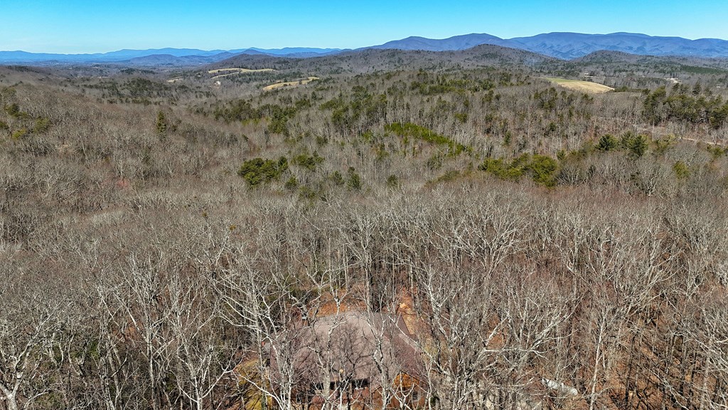 790 Old Burnt Mountain Road Ellijay, GA 30536 - Photo 23 of 91
