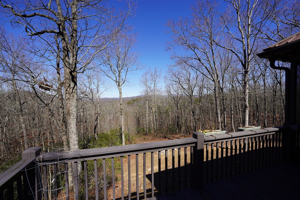 790 Old Burnt Mountain Road Ellijay, GA 30536 - Photo 27 of 91