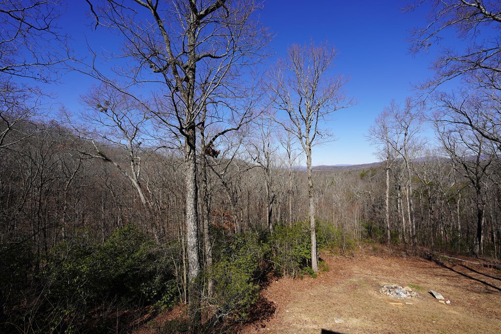 790 Old Burnt Mountain Road Ellijay, GA 30536 - Photo 28 of 91