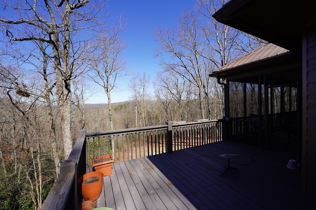 790 Old Burnt Mountain Road Ellijay, GA 30536 - Photo 29 of 91