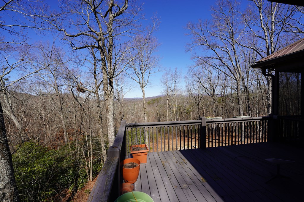 790 Old Burnt Mountain Road Ellijay, GA 30536 - Photo 30 of 91