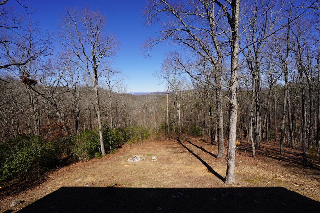 790 Old Burnt Mountain Road Ellijay, GA 30536 - Photo 32 of 91