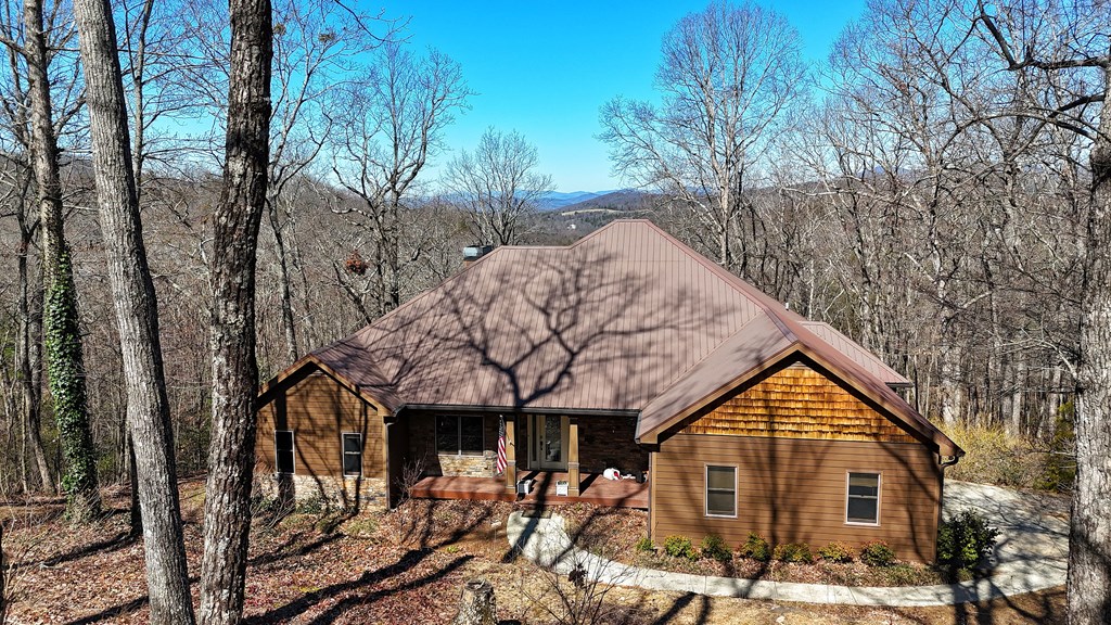 790 Old Burnt Mountain Road Ellijay, GA 30536 - Photo 4 of 91