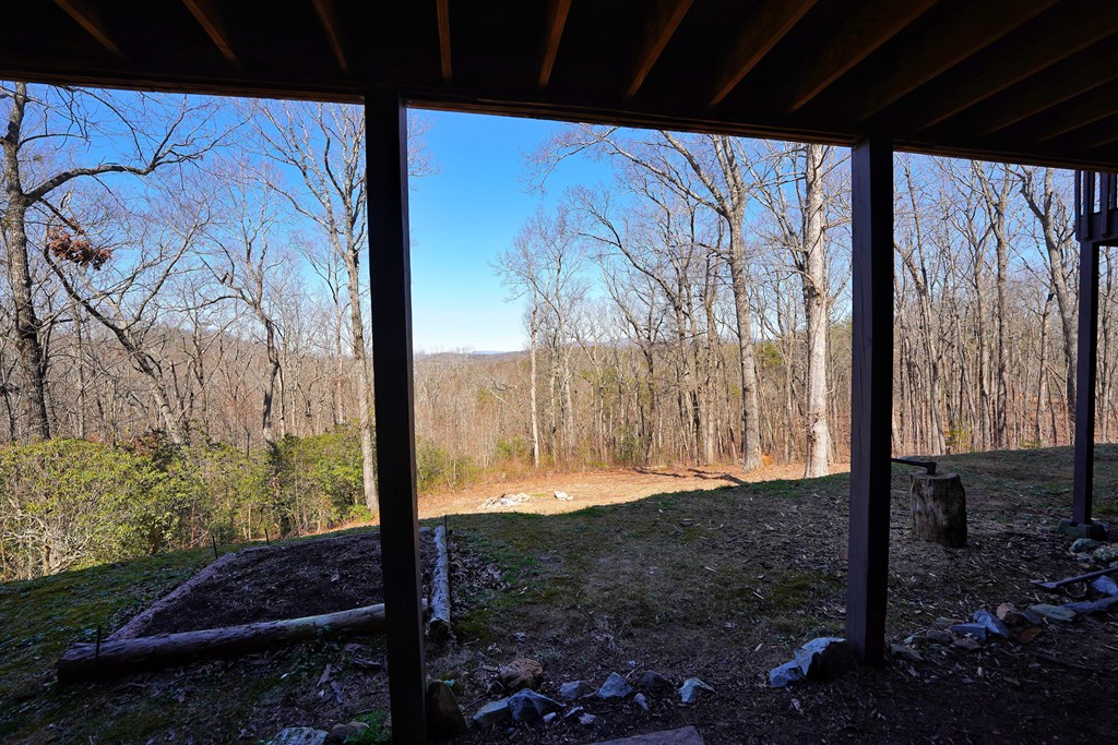 790 Old Burnt Mountain Road Ellijay, GA 30536 - Photo 71 of 91