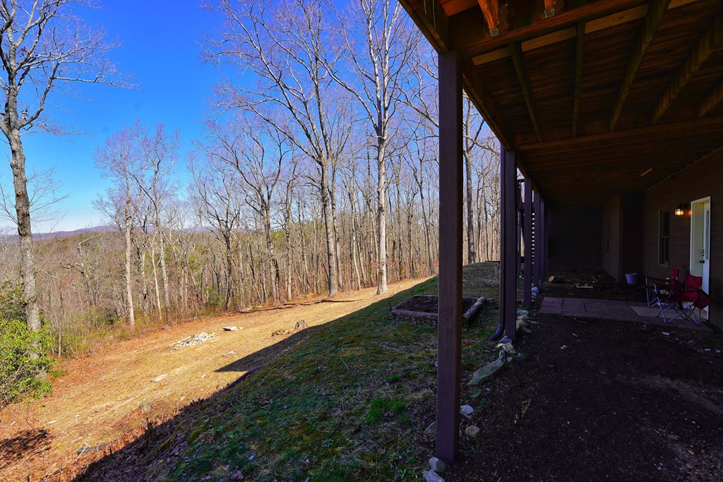 790 Old Burnt Mountain Road Ellijay, GA 30536 - Photo 72 of 91