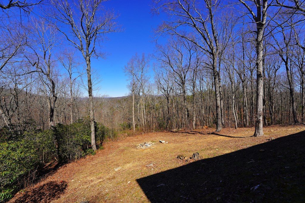 790 Old Burnt Mountain Road Ellijay, GA 30536 - Photo 73 of 91