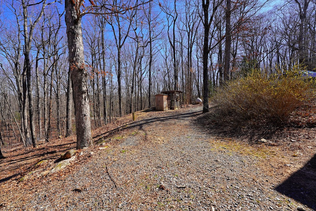 790 Old Burnt Mountain Road Ellijay, GA 30536 - Photo 75 of 91