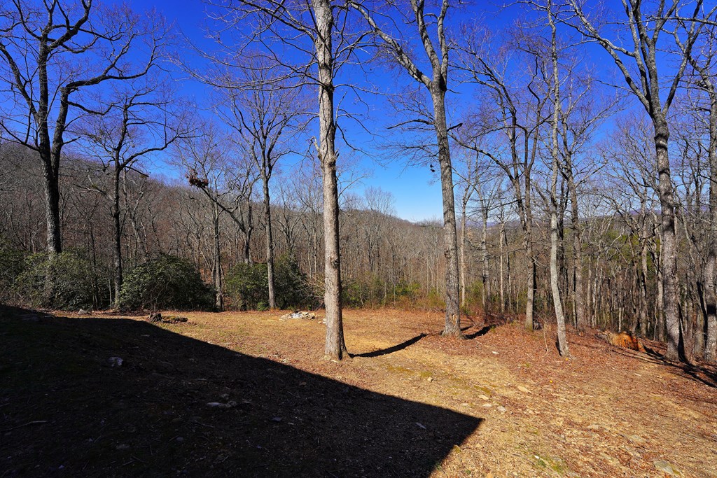 790 Old Burnt Mountain Road Ellijay, GA 30536 - Photo 77 of 91