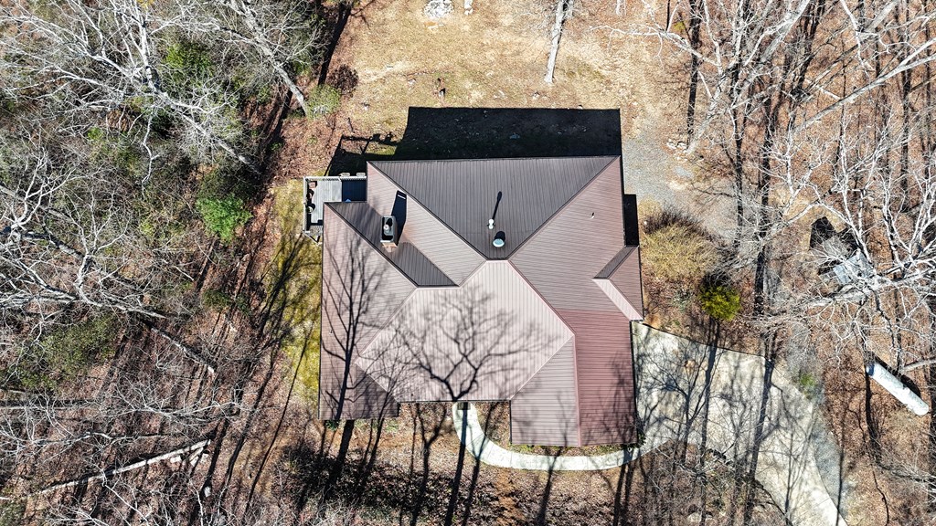 790 Old Burnt Mountain Road Ellijay, GA 30536 - Photo 8 of 91