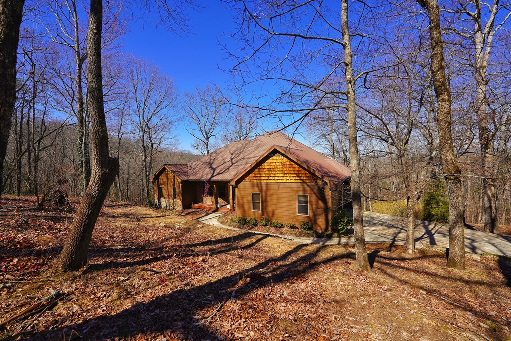 790 Old Burnt Mountain Road Ellijay, GA 30536 - Photo 87 of 91