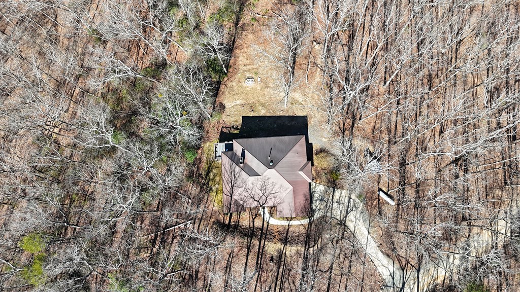 790 Old Burnt Mountain Road Ellijay, GA 30536 - Photo 9 of 91