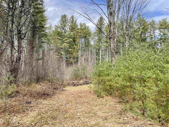 120 Trescott Road Hanover, NH 03750 - Photo 1 of 12