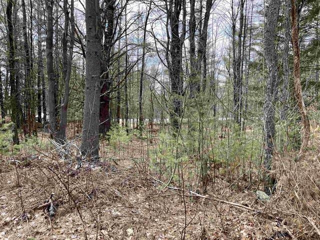 120 Trescott Road Hanover, NH 03750 - Photo 11 of 12