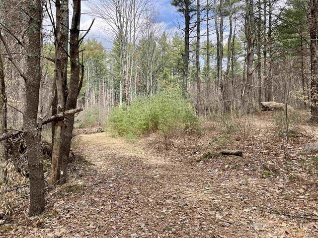 120 Trescott Road Hanover, NH 03750 - Photo 2 of 12