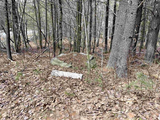 120 Trescott Road Hanover, NH 03750 - Photo 3 of 12