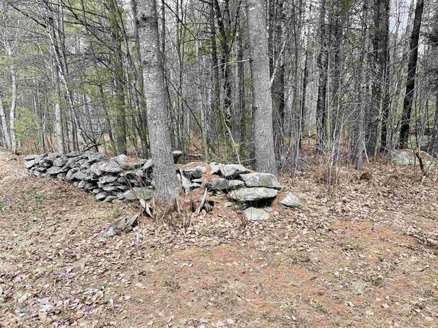 120 Trescott Road Hanover, NH 03750 - Photo 4 of 12