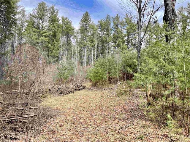 120 Trescott Road Hanover, NH 03750 - Photo 6 of 12