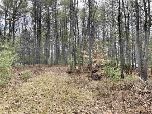 120 Trescott Road Hanover, NH 03750 - Photo 10 of 12