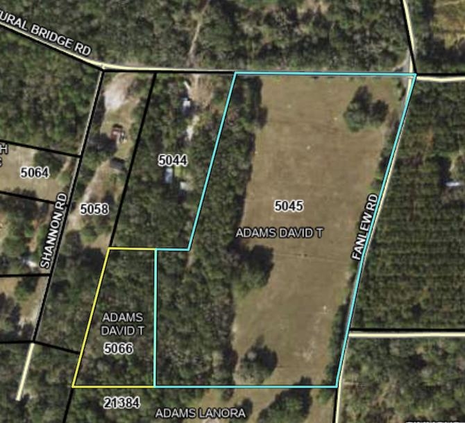 Xx Fanlew Road Monticello, FL 32344 - Photo 8 of 8 Gallery Image 8