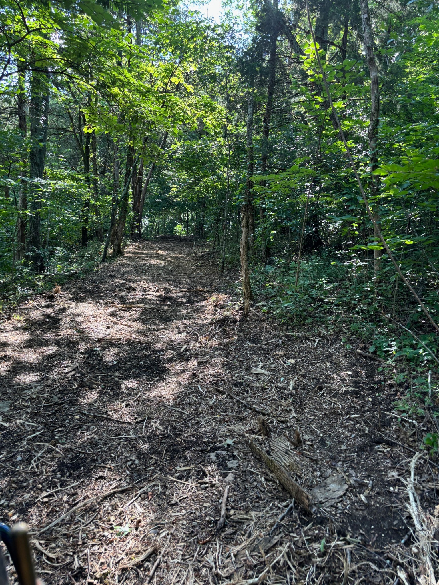 2517 Patton Hollow Road Watertown, TN 37184 - Photo 25 of 29