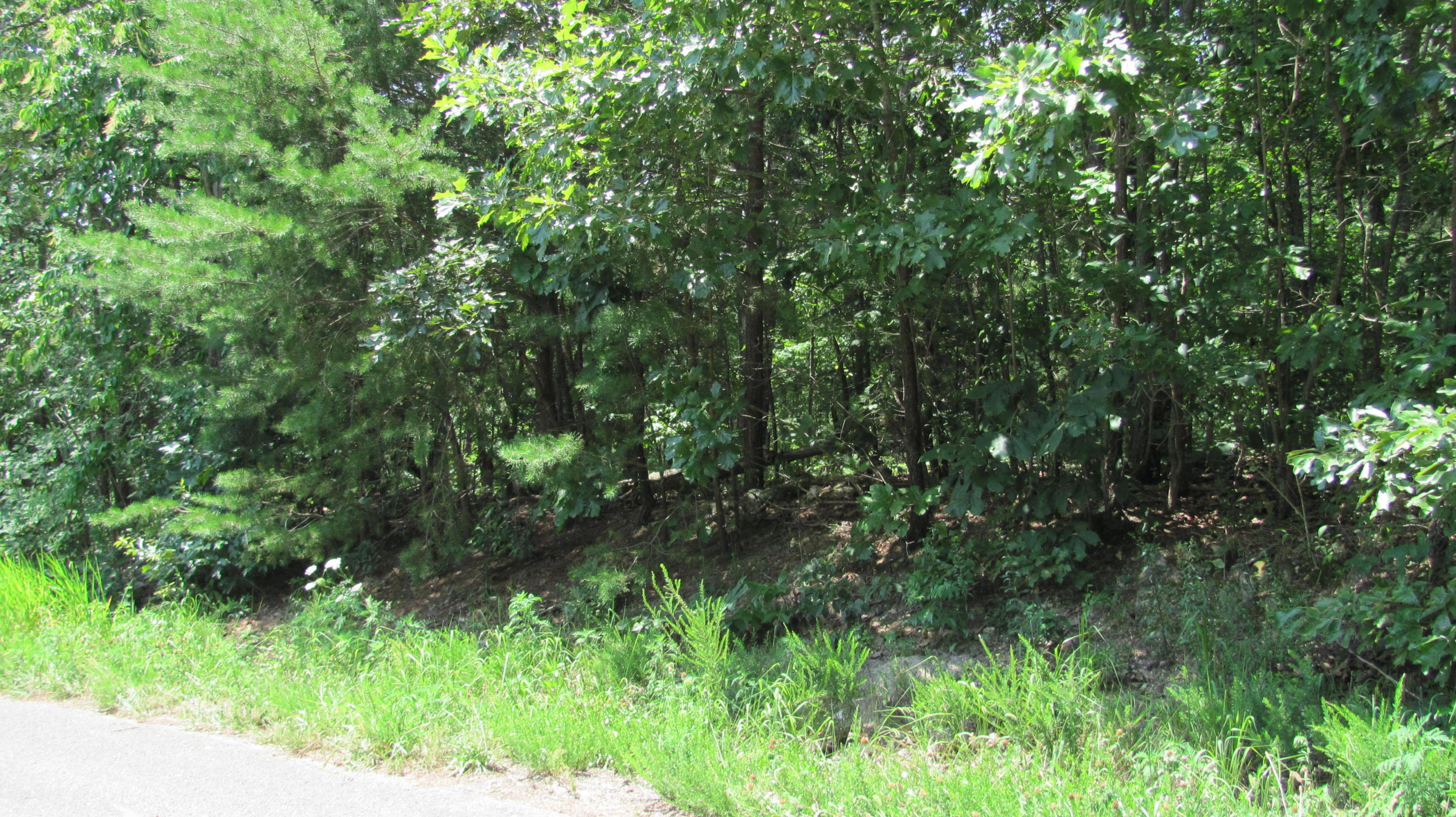 0 North Forest Road, Unit 109110 Chickamauga, GA 30707 - Photo 2 of 2 IMG_3311