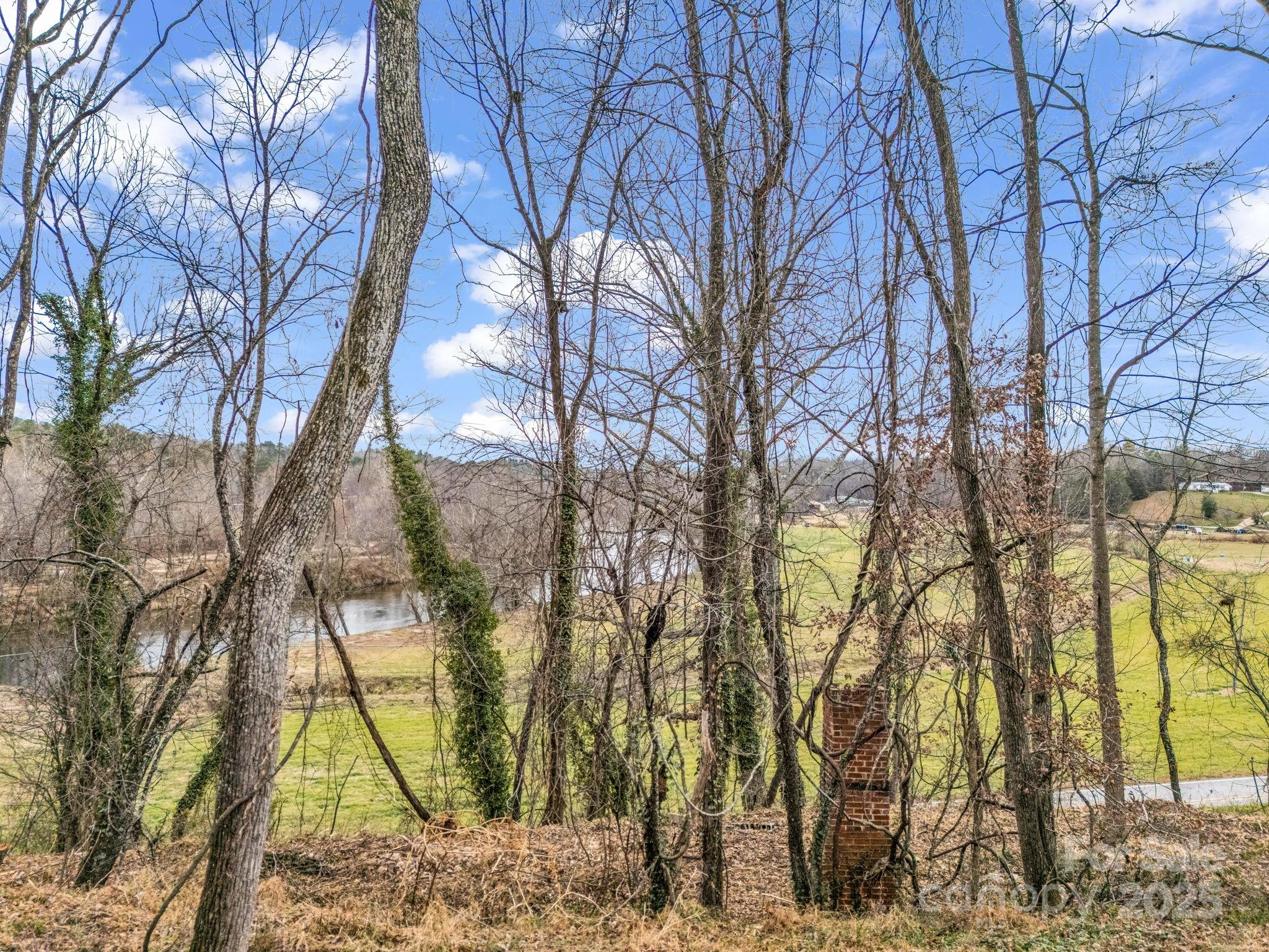 9999 Glenn Bridge Road Arden, NC 28704 - Photo 2 of 6 a view of a yard