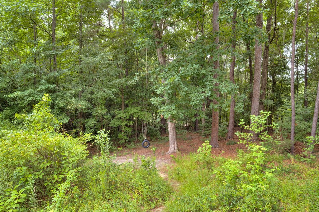 6645 Hidden Sumter, SC 29154 - Photo 6 of 54 Gallery Image 6