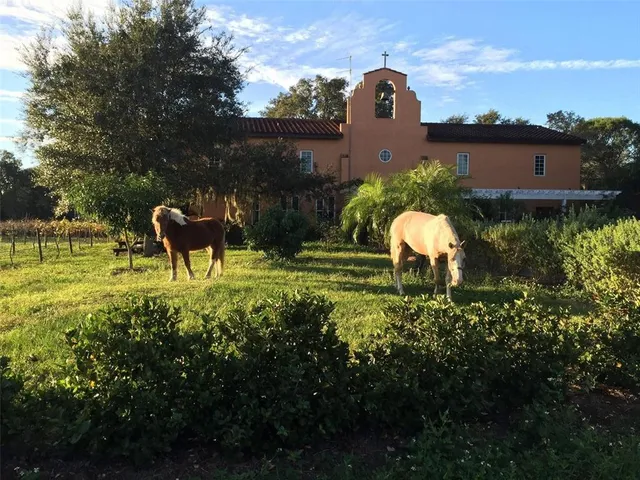 a kitchen with a sink and wooden cabinets