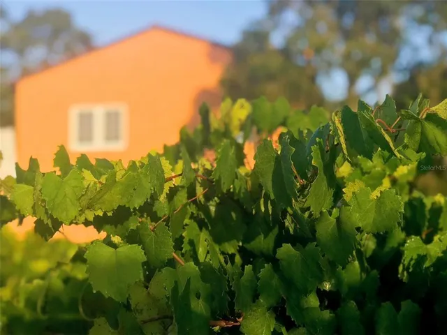 $2,695,000 | 19600 Highway 64, Bradenton, FL 34211