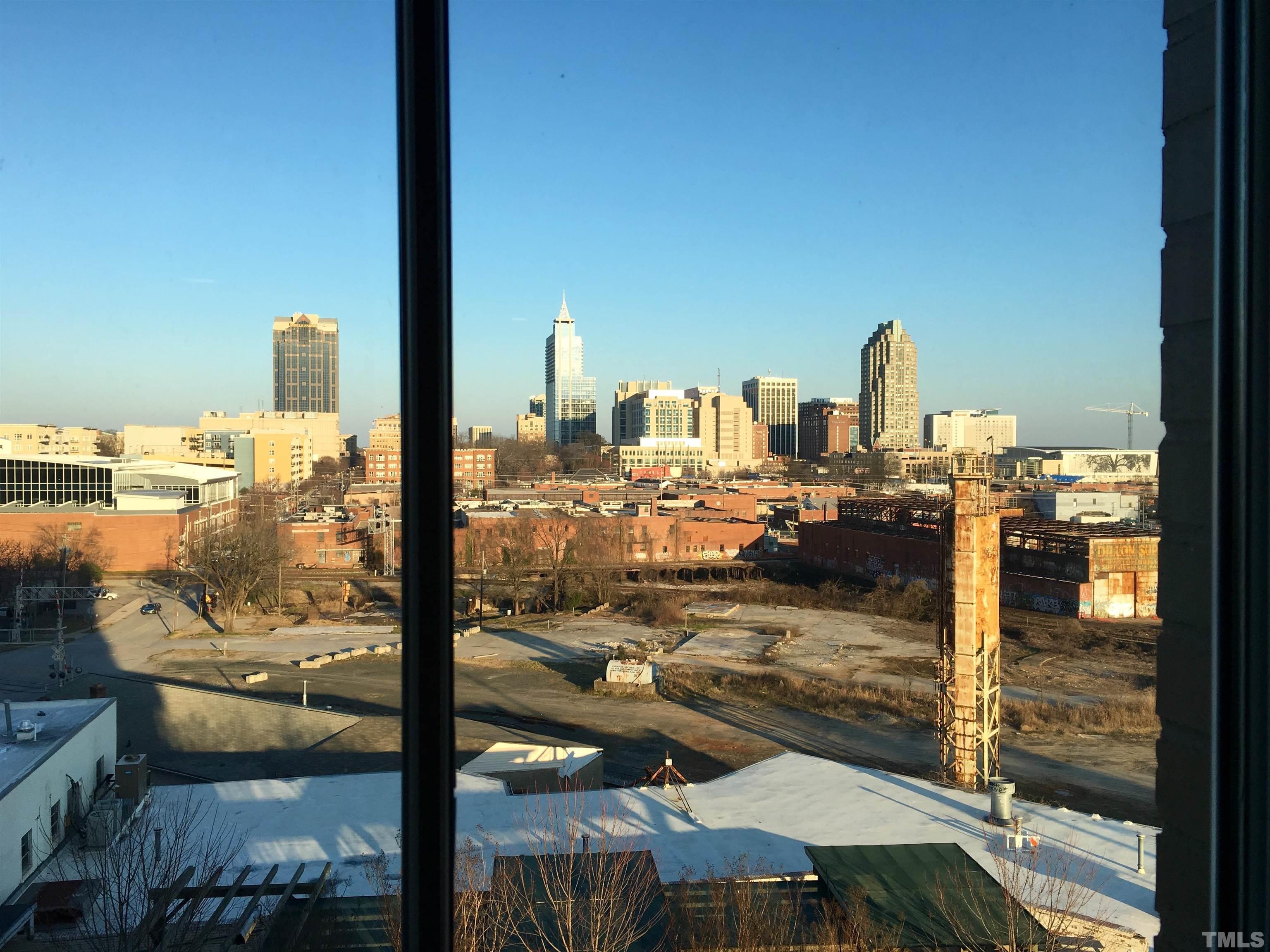 710 Independence Place, Unit 407 Raleigh, NC 27603 - Photo 10 of 10 a city view from a balcony