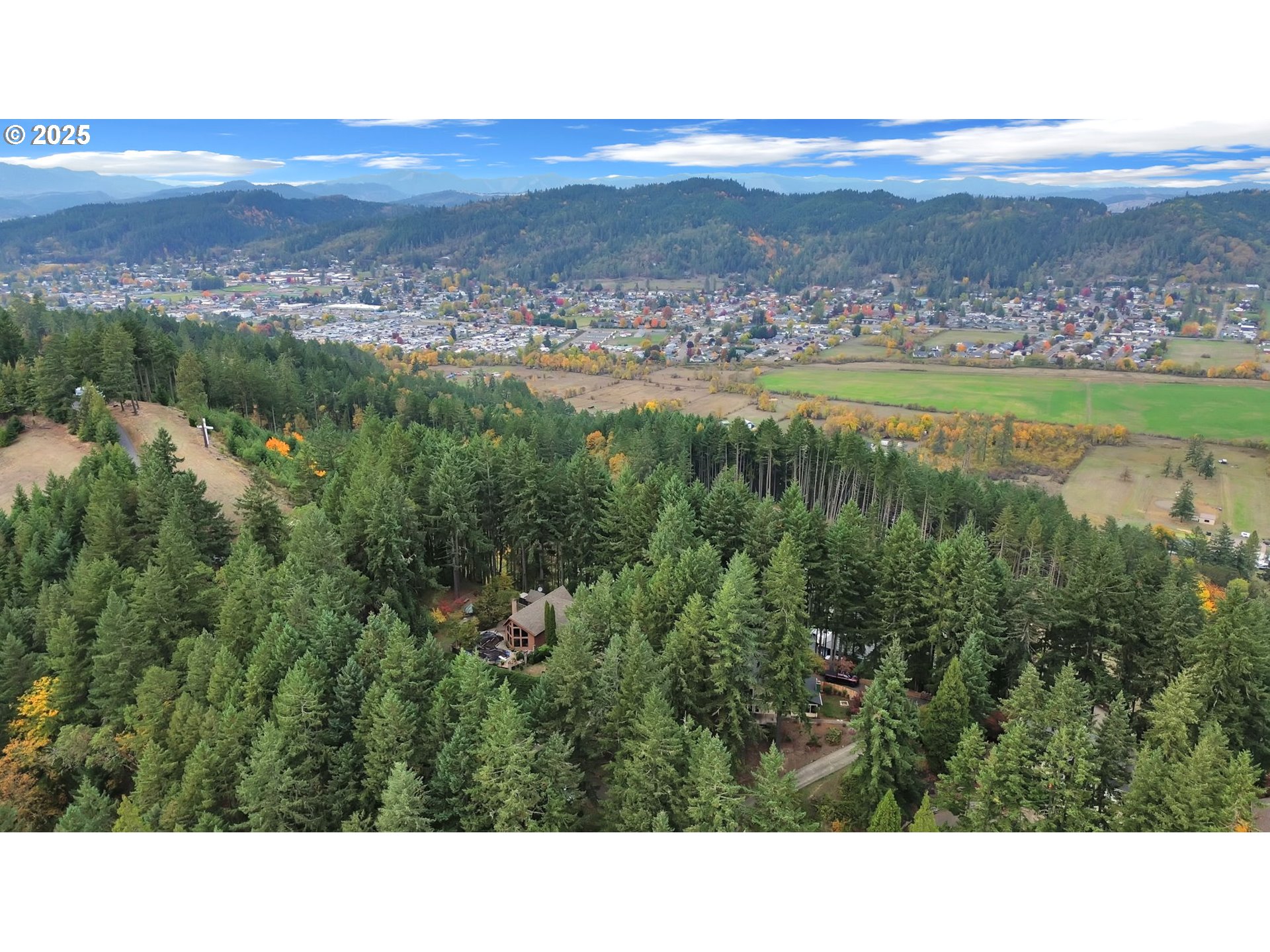 1853 Ridge Water Drive Sutherlin, OR 97479 - Photo 43 of 46