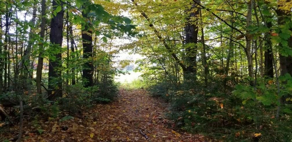 Tbd Sandy River Road Norridgewock, ME 04957 - Photo 7 of 12 Photo